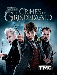 Les animaux fantastiques : les crimes de Grindelwald