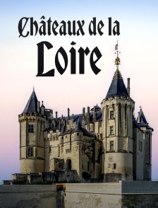Châteaux de la Loire