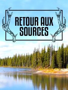 Retour aux sources