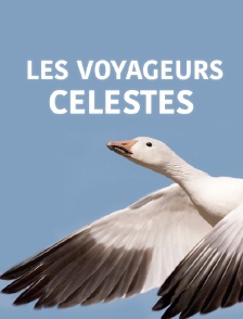 Les voyageurs célestes