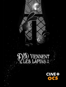 CINÉ Cinéma - D'où viennent les lapins