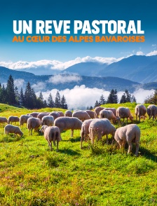 Un rêve pastoral, au cœur des Alpes bavaroises