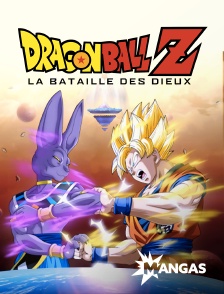 MANGAS - Dragon ball Z : La bataille des dieux
