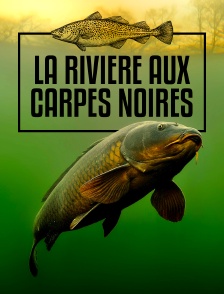 La rivière aux carpes noires
