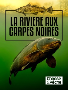 Chasse et pêche - La rivière aux carpes noires