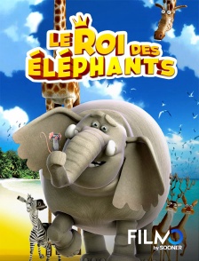 FilmoTV - Le roi des éléphants