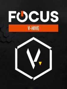 Focus - V-Hive