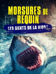 Morsures de requins : les dents de la mort