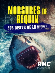 RMC Découverte - Morsures de requin : les dents de la mort en replay