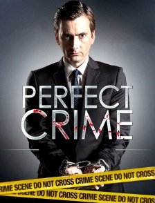 Perfect Crime