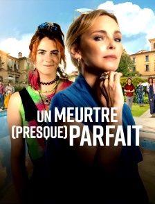 Un meurtre (presque) parfait