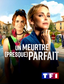 TF1 - Un meurtre (presque) parfait