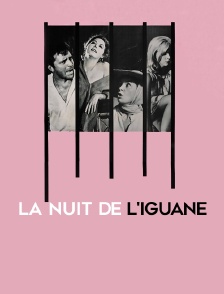 La nuit de l'iguane