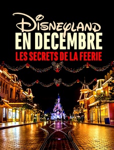 Disneyland en décembre : les secrets de la féerie