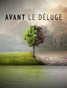 Avant le déluge
