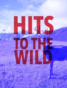 Hits to the Wild