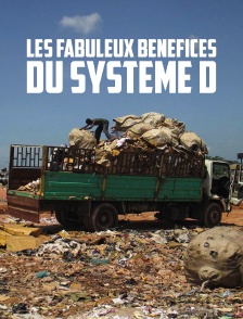 Les fabuleux bénéfices du système D