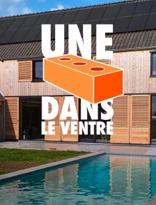 Une brique dans le ventre