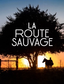 La route sauvage