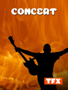 TFX - Pierre Garnier : le concert évènement