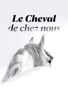 Le Cheval de chez nous