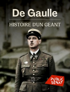 Public Sénat - De Gaulle : histoire d'un géant