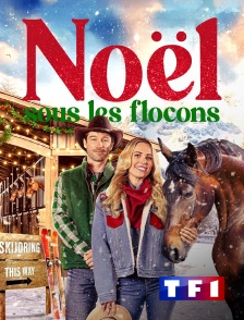 TF1 - Noël sous les flocons