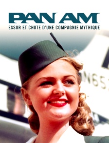 Pan Am : essor et chute d'une compagnie mythique