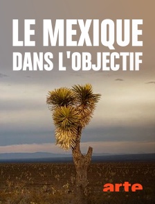 Arte - Le Mexique dans l'objectif