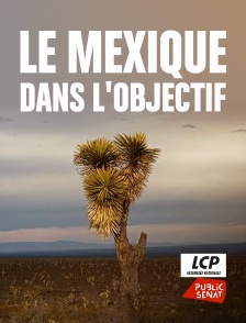 LCP Public Sénat - Le Mexique dans l'objectif