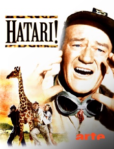 Arte - Hatari !