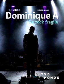 TV5MONDE - Dominique A, le rock fragile