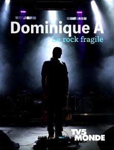 Dominique A, le rock fragile
