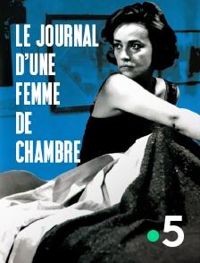 France 5 - Le journal d'une femme de chambre