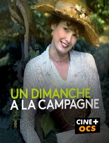 CINÉ Cinéma - Un dimanche à la campagne