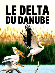 Le delta du Danube : Un paradis aux frontières de l'Europe