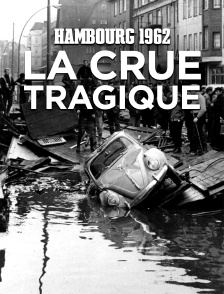 Hambourg 1962 : la crue tragique
