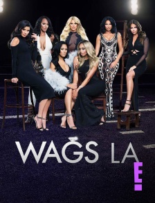E! - WAGS LA