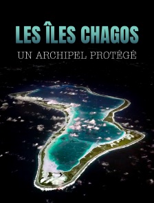 Les îles Chagos, un archipel protégé