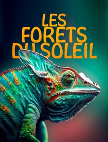 Les forêts du soleil