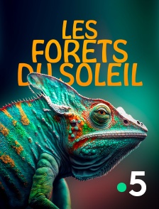 France 5 - Les forêts du soleil