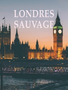 Londres sauvage