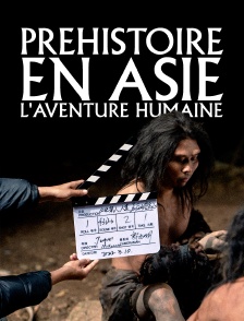Préhistoire en Asie : L'aventure humaine