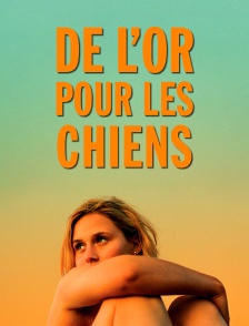 De l'or pour les chiens