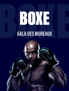 Gala Des Mureaux