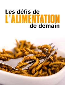 Les défis de l'alimentation de demain