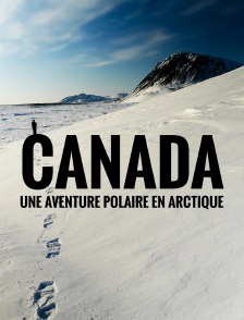Canada, une aventure polaire en Arctique