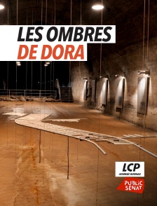 LCP Public Sénat - Les ombres de Dora