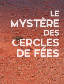 Le mystère des cercles de fées