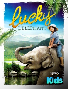 Lucky l'éléphant